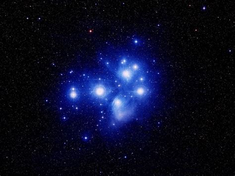 Carol R. Ward: Pleiades
