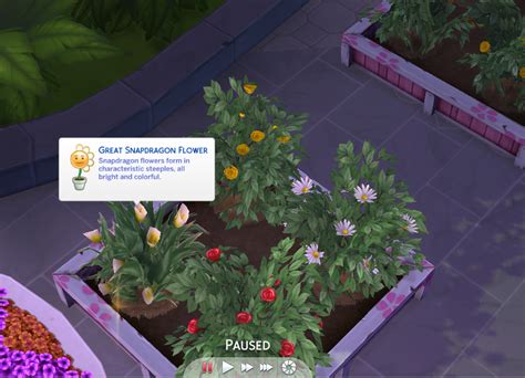 Lily Flower And Snapdragon Flower — The Sims Forums