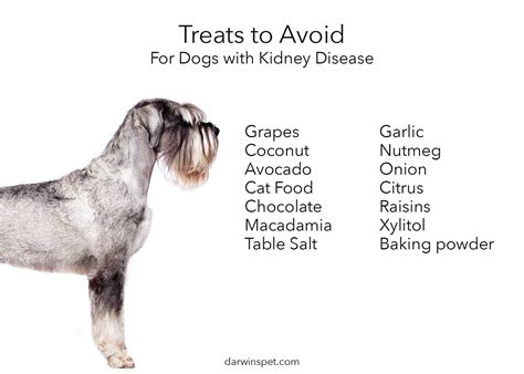 Certain drugs will bind excess phosphates in the intestinal tract so they are not absorbed into the bloodstream, resulting in lower blood levels of phosphorus. Obtain How Long Can A Dog With Kidney Failure Live You ...