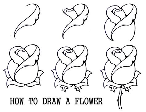 How To Draw A Flower Step By Step Daryl Hobson Artwork