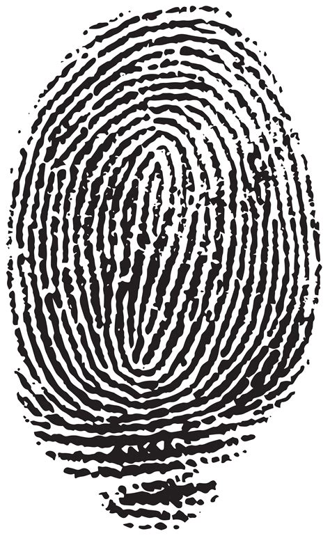Download Fingerprint Clipart  Alade