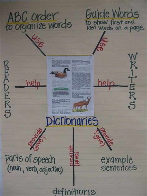 Third Grade Thinkers Using Dictionaries In Third Grade