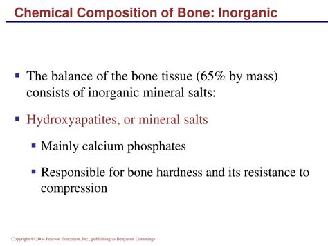 Ppt Bones And Skeletal Tissues Part A Powerpoint Presentation Free