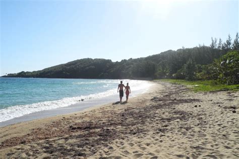 Paya Bay Naturist Beach Resort Caribbean Adventures Roatan Tours