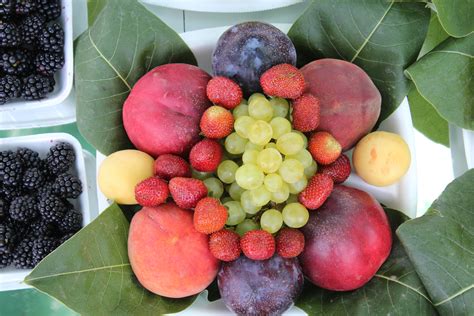 Filemixed Fruit Wikimedia Commons