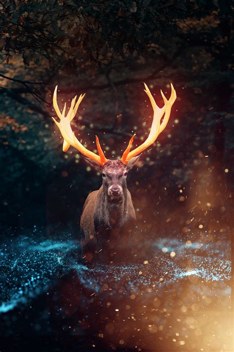 Glowing Deer Manipulation On Behance