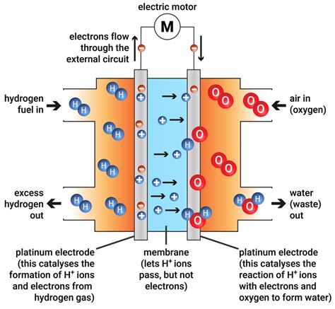 Diagram Of A Fuel Cell