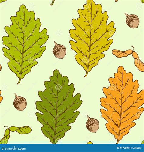 Oak Leaves And Acorns Stock Vector Illustration Of Texture 41795274