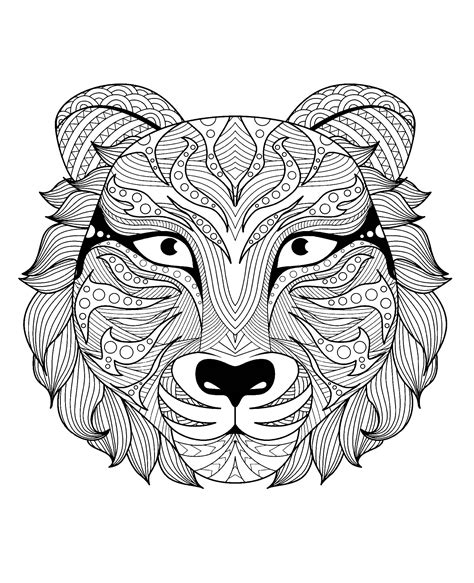 Tiger Head Tigers Adult Coloring Pages