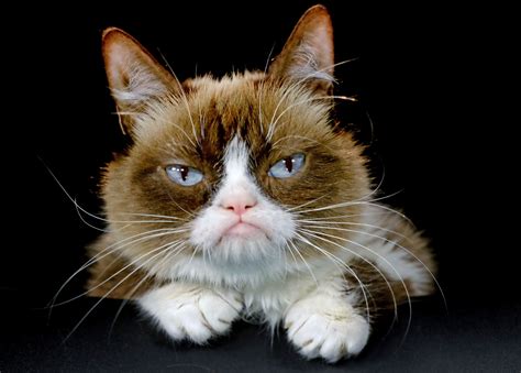 Get Well Soon Grumpy Cat