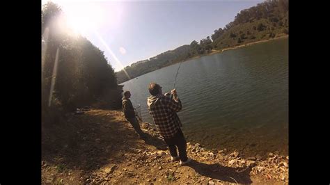 Lake Chabot Bass And Trout Youtube