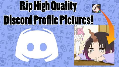 Discord Profile Picture Grabber You Can Just Right Click