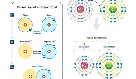Ionic Bond Vector Illustration. Labeled Diagram with Formation