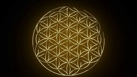 Flower Of Life Wallpapers Top Free Flower Of Life Backgrounds