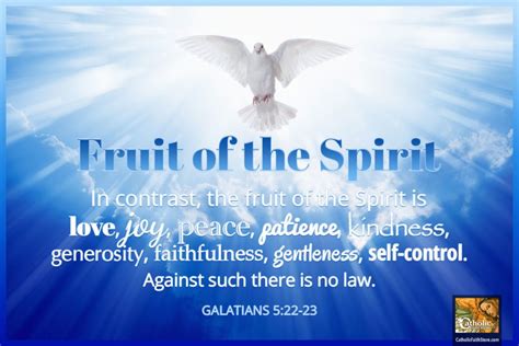 Fruit Of The Spirit Galatians 522 23