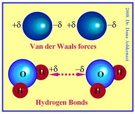 While hydrogen bonds and van der waals interactions are weak individually, they are strong combined in vast numbers. Into the Heart of Matter - danamaterials