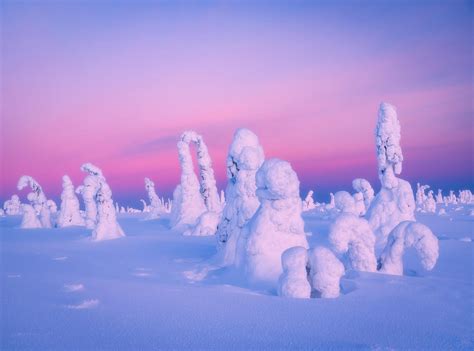 Colors Of Dawn In The Frozen Winter Wonderland Of Lapland Finland 02