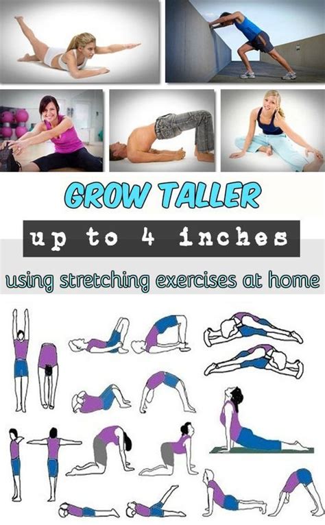 Learn How To Grow Taller Up To Inches Using Stretching Exercises At Home