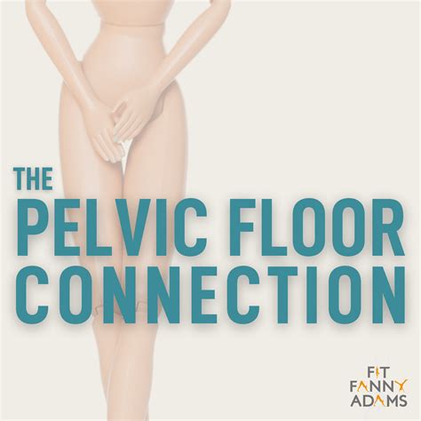 Learning To Let Go Pelvic Floor Relaxation By The Pelvic Floor Connection Podchaser