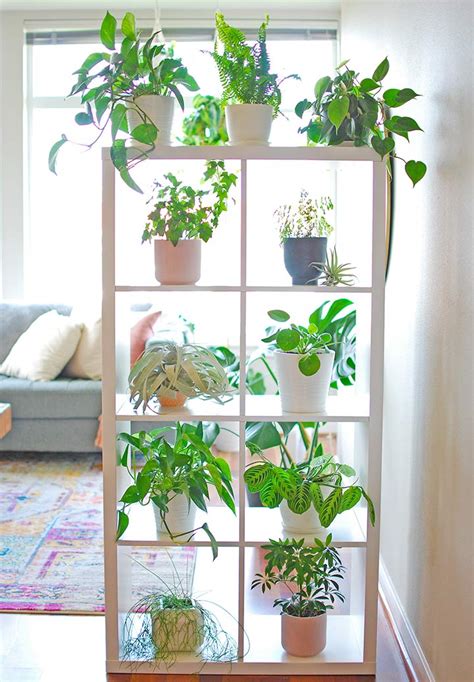 13 Indoor Diy Plant Shelf Ideas Youll Want To Copy Now Ohmeohmy Blog