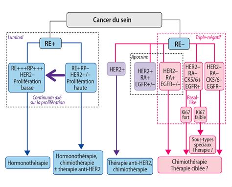Classification Et Signatures Moléculaires Des Cancers Du Sein En 2016