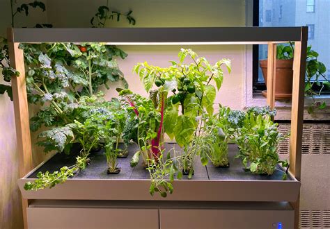 Indoor Gardening Ideas To Make Your Home Eco Friendly Archute