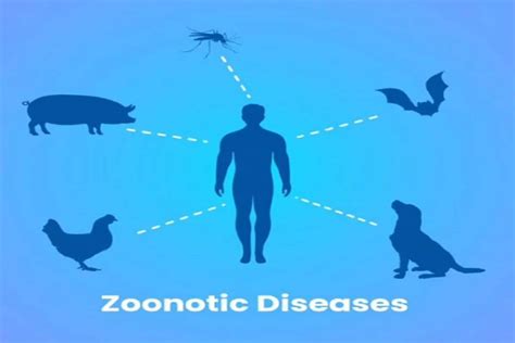 World Zoonoses Day 2020 What Is Zoonosis And How Does The Infectious