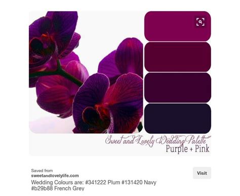 Pin by Noreen Thomas on DesignMe | Color palette pink, Purple color ...