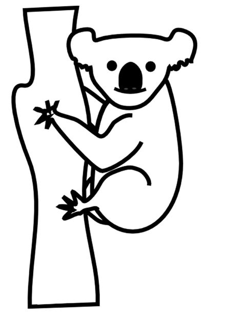 Coloriage Koala à Imprimer Gratuitement