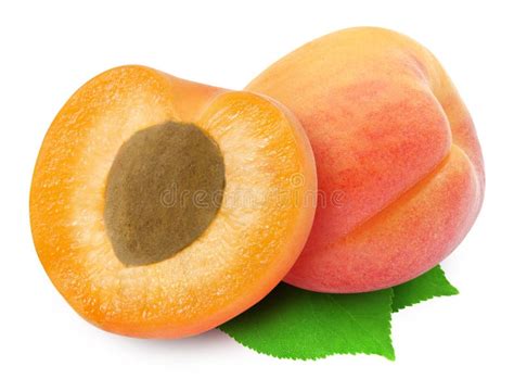 Two Fresh Apricots And Leaves Stock Photo Image Of Core Green 95768372