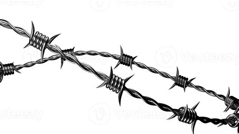 Barbed Wire 3d 11288978 Png