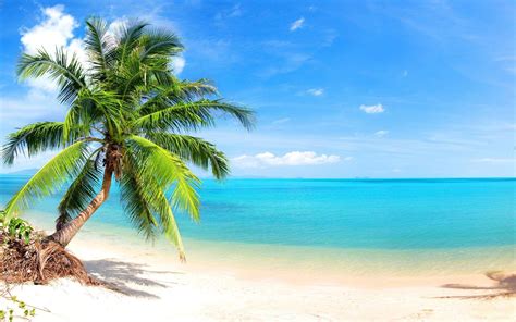 Free Beach Scenery Wallpaper Hd Picture Image