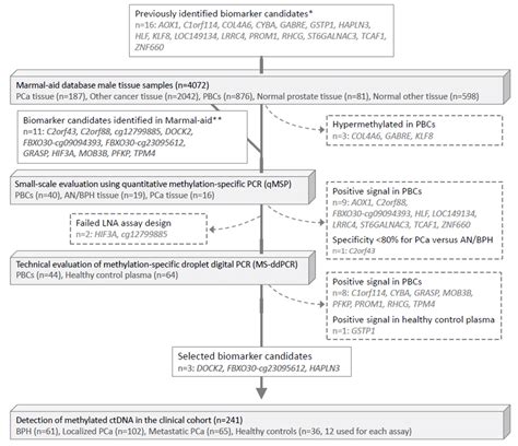 Flowchart Of Biomarker Selection And Validation Pca Prostate Cancer