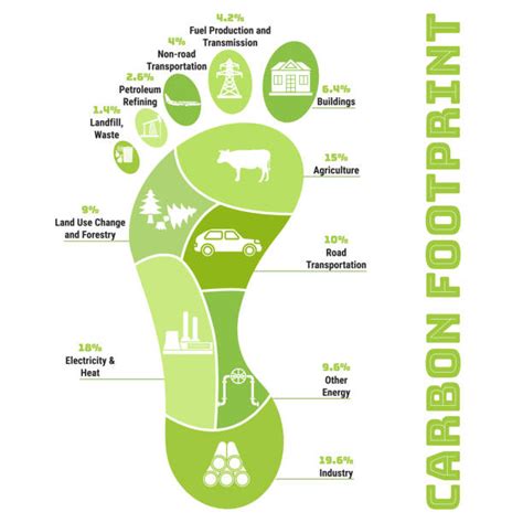 Carbon Footprint Infographic Illustrations Royalty Free Vector