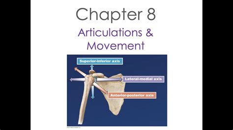 Anatomy Chapter 8 Articulations And Movements Youtube