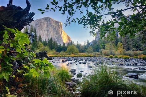 Fotobehang El Capitan Merced River Yosemite Np Pixersnl