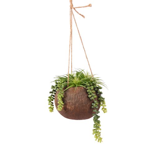 0 Result Images Of Hanging Plants Png Transparent Png Image Collection