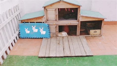 Casa Para Conejos De Madera🐰 La Guarida De Mis Conejos Y Gazapos😍