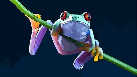 1858073 Free Wallpaper And Screensavers For Tree Frog Tree Frogs