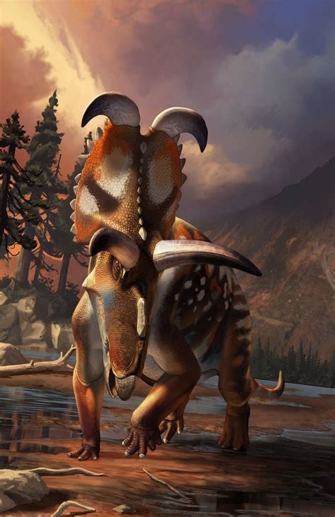 We are about to find out in this article which spells out a few interesting albertaceratops facts. Albertaceratops nesmoi in 2020 | Dinosaur pictures ...