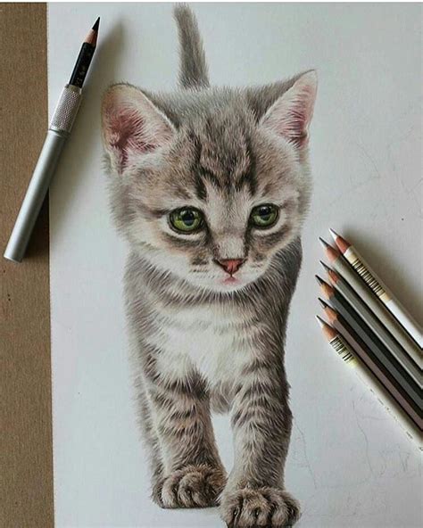 10 Dibujo Gato Realista