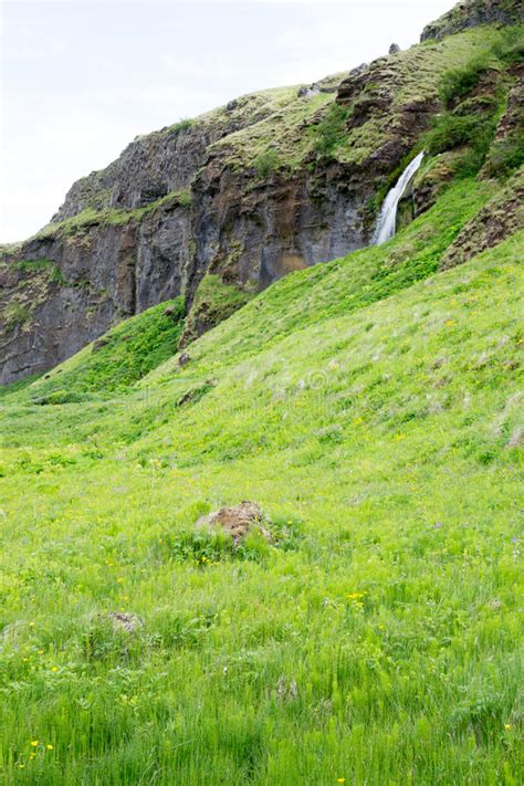 Seljalandsfoss Waterfall In Iceland Stock Photo Image Of Europe