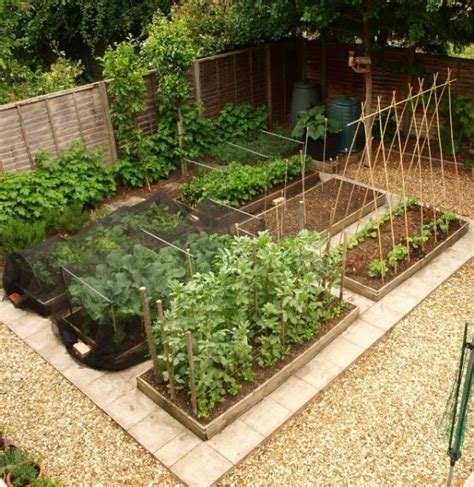 Vegetable Garden Layout For Beginners All About Hobby