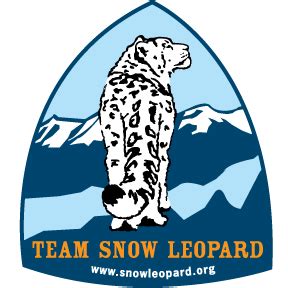 Team Snow Leopard | Snow leopard, Leopard, Snow