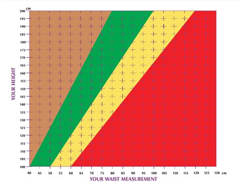 The best way is to measure your child properly and then compare it with the respective asian children size chart below. 15 What Is A Healthy Waist Size For My Height - Body ...