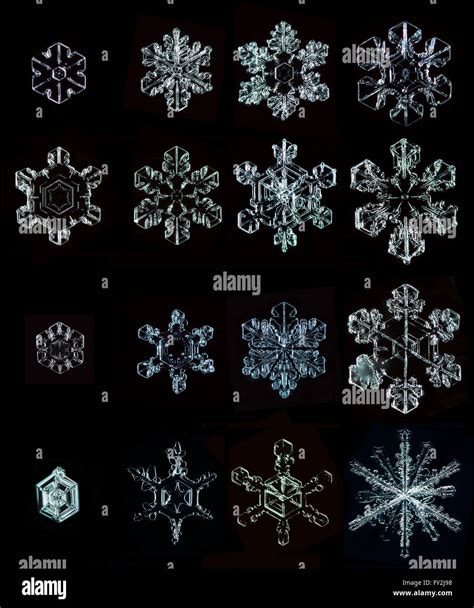 Set Real Snowflakes Stock Photo Alamy