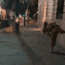 Gif bin is your daily source for funny gifs, reaction gifs and funny animated pictures! Parkour GIFs | Tenor