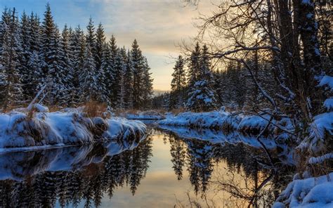 Download Wallpapers River Winter Forest Sunset Evening Winter