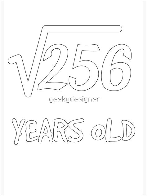 Square Root Of 256 16th Birthday 16 Years Old Teen Boy Girl Poster