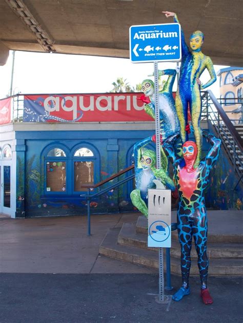 The Santa Monica Aquarium In Southern California Is A Hidden Gem